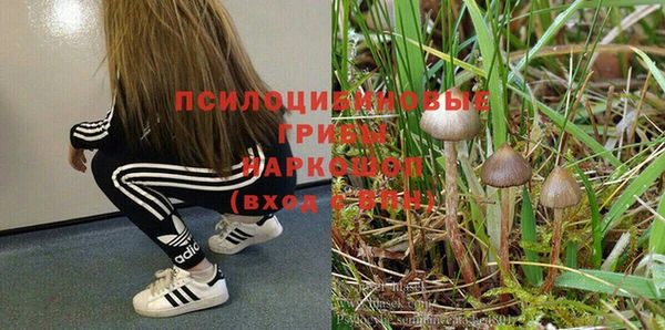 экстази Аркадак